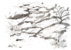 lepusztult sziklafelsz�nt form�l� sziklakert