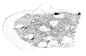 kisz�radt meder t�pus� sziklakert